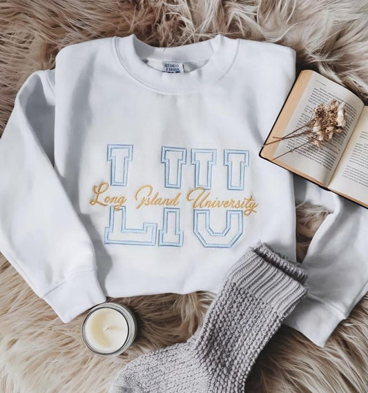 Custom University Embroidered Sweatshirt, Custom College Crewneck, Personalized Name School Hoodie, College Apparel Merch, Graduation Gift