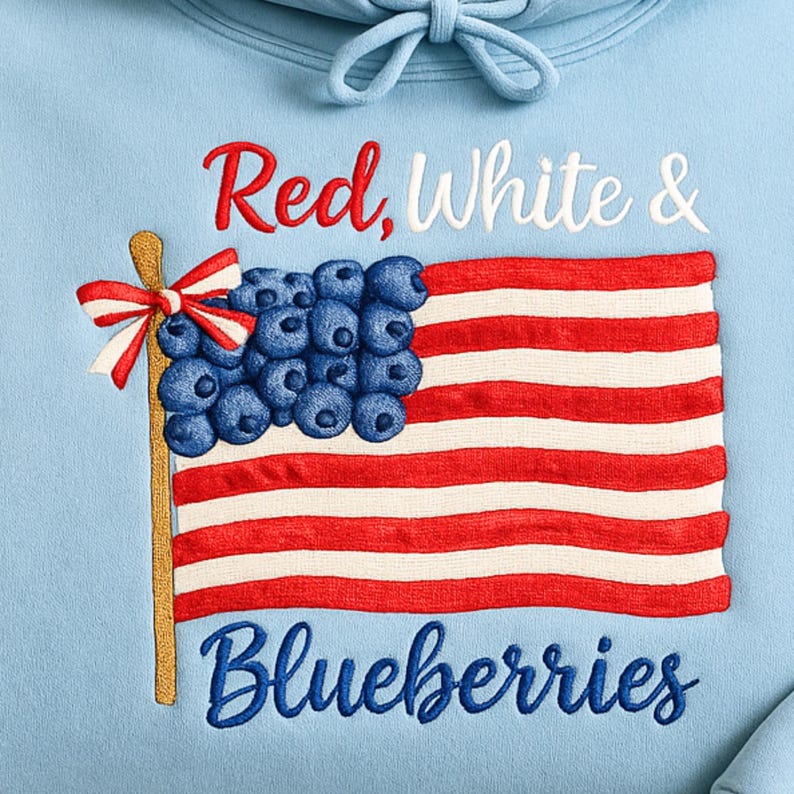 Embroidered Red, White, Blueberries Sweatshirt, Charlie Kirk Tribute Quote Sweatshirt, Charlie Kirk Freedom Champion Hoodie, Charlie Kirk Hoodie