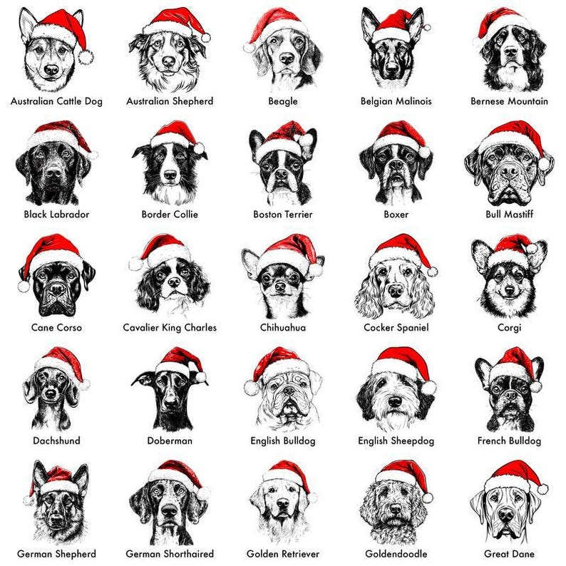 Custom Santa Paws Christmas Dog Sweatshirt, 50 Dog Breeds in Festive Santa Hat T-shirt, Dog Lover Shirt, Funny Christmas Gift Hoodie