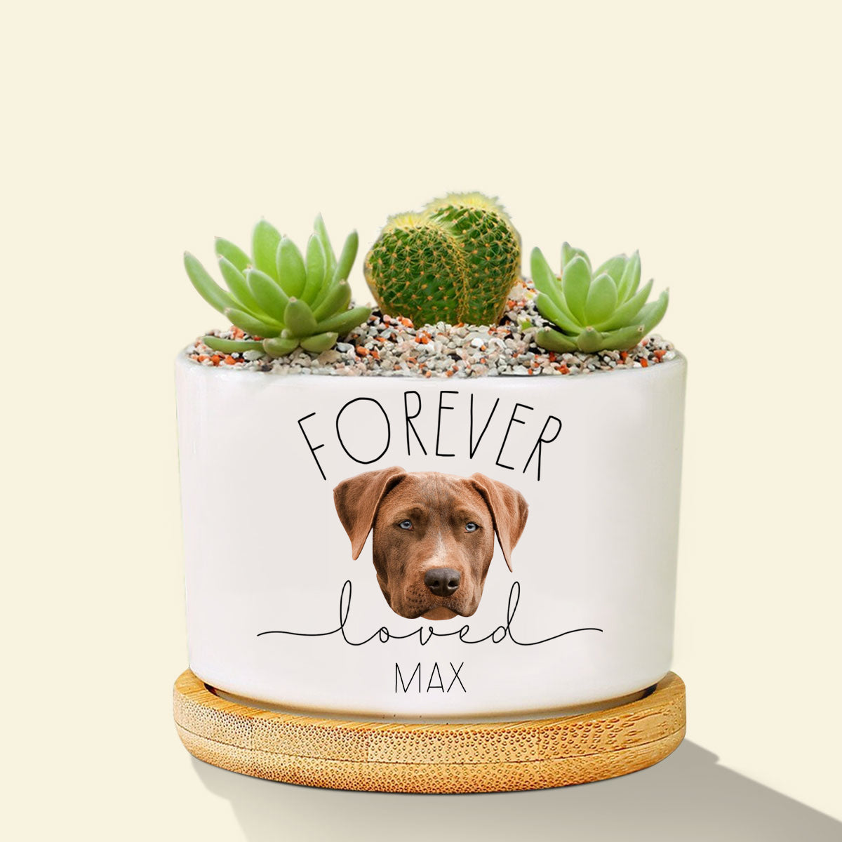 Custom Dog Photo Memorial Planter, Dog Memorial Plant Pot, Loss of Pet Gift, Personalized Gift Plant Pot, Loss of Dog,Pet Memorial Keepsake memorialdogphotobanner.jpg