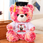 Bubble Custom Photo Class Of 2026 - Personalized Graduation Teddy Bear
