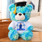 Bubble Custom Photo Class Of 2026 - Personalized Graduation Teddy Bear
