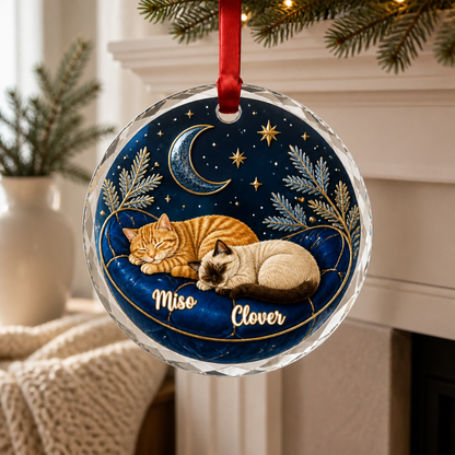 Custom Cat Crystal Ornament – Midnight Nap with Pet Names mockup-product-6ab09e294088d19bae0d03c8.png