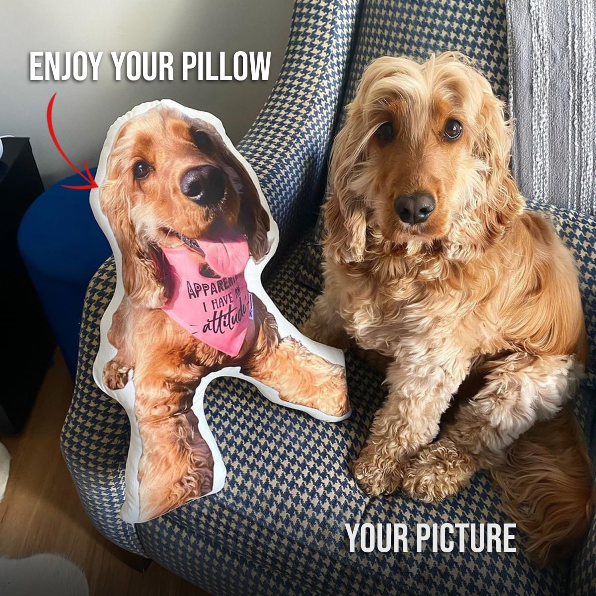 Dog Picture Pillow Custom Pet Pillow Dog Pillows Gift Custom 3D Pet Pillow from Photo | Personalized Dog/Cat Shaped Throw Pillow photo_2024-09-06_09-03-20.jpg