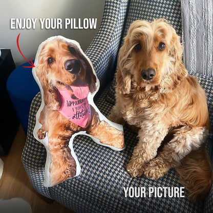 Dog Picture Pillow Custom Pet Pillow Dog Pillows Gift Custom 3D Pet Pillow from Photo | Personalized Dog/Cat Shaped Throw Pillow photo_2024-09-06_09-03-20.jpg