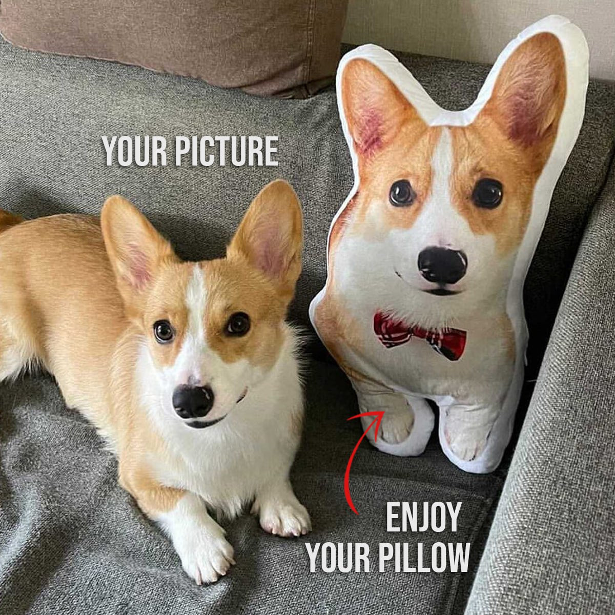 Dog Picture Pillow Custom Pet Pillow Dog Pillows Gift Custom 3D Pet Pillow from Photo | Personalized Dog/Cat Shaped Throw Pillow photo_2024-09-06_09-03-20_2.jpg