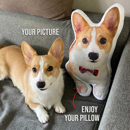 Dog Picture Pillow Custom Pet Pillow Dog Pillows Gift Custom 3D Pet Pillow from Photo | Personalized Dog/Cat Shaped Throw Pillow photo_2024-09-06_09-03-20_2.jpg