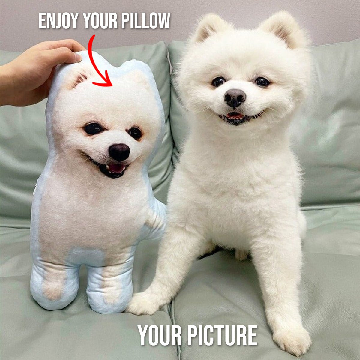 Dog Picture Pillow Custom Pet Pillow Dog Pillows Gift Custom 3D Pet Pillow from Photo | Personalized Dog/Cat Shaped Throw Pillow photo_2024-09-06_09-03-20_3.jpg
