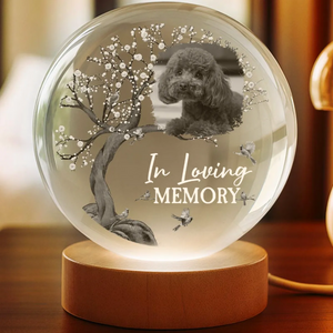 Custom Photo When You Miss Me - Personalized Crystal Globe Lamp